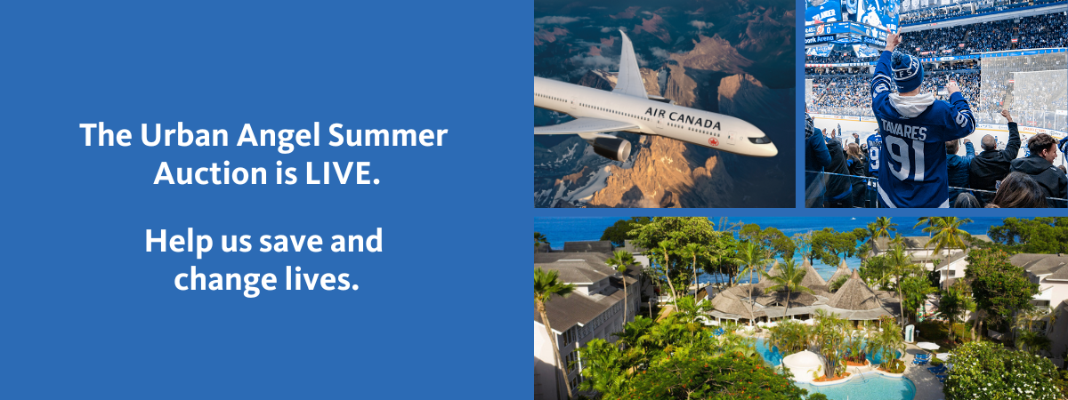 Urban Angel Summer Auction | Powered by Givergy